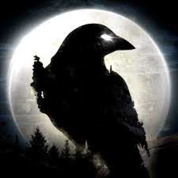 Night Crows  - Login