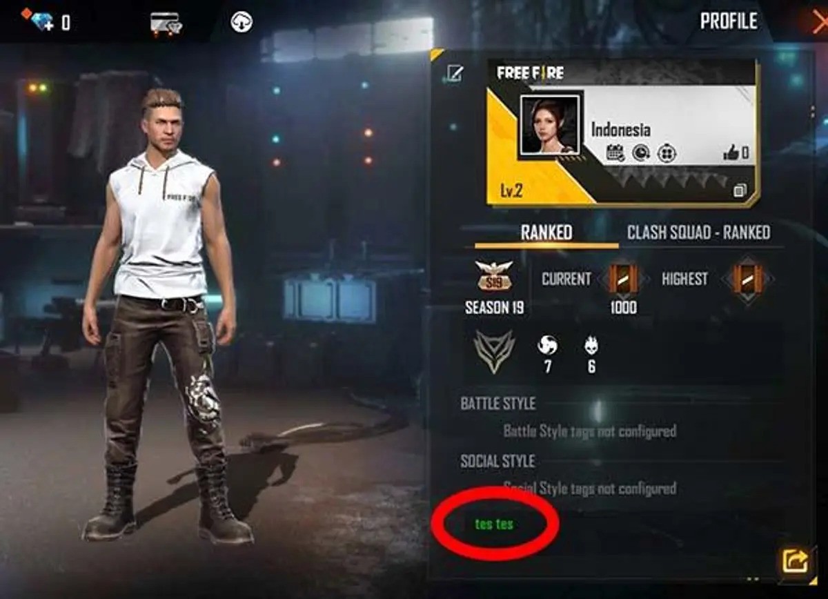 Kode Warna Free Fire dan Cara Membuatnya, Profil Makin Keren!
