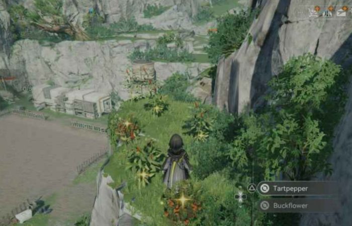 Level Eksplorasi dan Farming EXP di Arknights Endfield